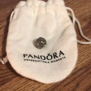 Pandora Charm